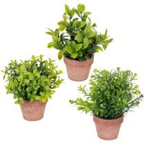 kategori Kunstige planter