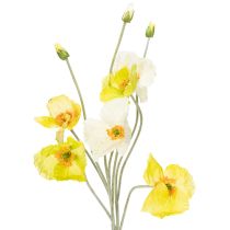 kategori Haveblomst & engblomst