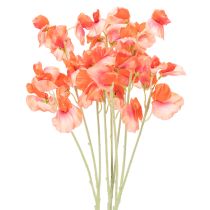 kategori Haveblomst & engblomst