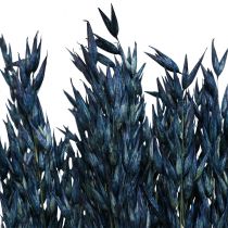 Artikel Tørrede blomster, havre tørret korn dekoration blå 68cm 230g