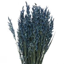 Tørrede blomster, havre tørret korn dekoration blå 68cm 230g