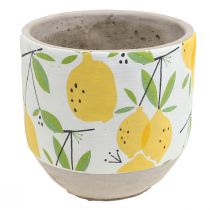 Plantekasse keramisk citron dekorativ urtepotte sommer H17cm