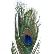 Påfuglefjer dekorative fjer til fremstilling af fuglefjer H78cm 10 stk.