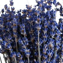 Artikel Tørret lavendel bundt tørrede blomster blå 25cm 75g