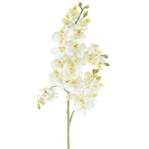 Artikel Phalaenopsis Kunstige Orkideer Kunstige Blomster Hvide 70cm