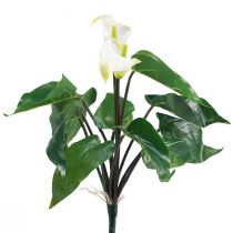 Artikel Calla Lily Kalla Kunstige Blomster Hvide Eksotiske Blomster 34cm