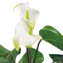 Artikel Calla Lily Kalla Kunstige Blomster Hvide Eksotiske Blomster 34cm