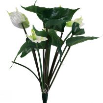 Artikel Kunstige blomster, flamingoblomst, kunstig anthurium hvid 36cm