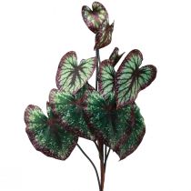 Artikel Begonia Kunstige Planter Blad Begonia Grøn Lilla 62cm