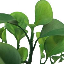 Artikel Kunstig grøn plante sukkulent kunstgrøn H14cm
