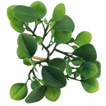 Artikel Kunstig grøn plante sukkulent kunstgrøn H14cm