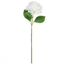 Artikel Dekorativ hortensia kunstig hvid sneboldhortensia 65cm