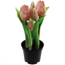 Artikel Kunstige tulipaner i potte Tulipaner Fersken kunstige blomster 22cm
