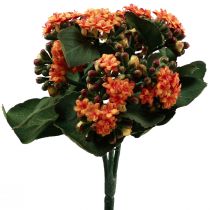 Artikel Flaming Käthchen Kalanchoe kunstig orange 24cm