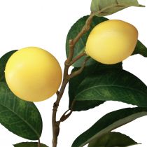 Artikel Dekorativ citrongren med 6 kunstige citroner 100cm
