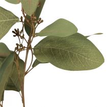 Artikel Eukalyptusgren kunstig dekorativ gren grøn 60cm