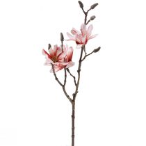 Artikel Magnolia gren magnolia kunstlaks 58cm