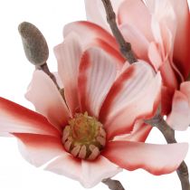 Artikel Magnolia gren med 6 blomster kunstig magnolia laks 84cm