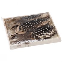 Artikel Dekorativt fjervedhæng naturligt træfjer 9,5/10cm 9 stk.