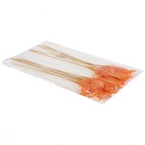 Artikel Dekorative fjer orange fuglefjer på pind 36cm 12 stk