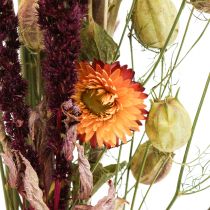 Buket tørrede blomster halmblomster orange lilla 55cm 70g