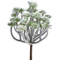Artikel Stonecrop Kunstige Sukkulenter Kunstige Planter 16cm 4 stk