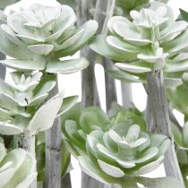 Artikel Stonecrop Kunstige Sukkulenter Kunstige Planter 16cm 4 stk