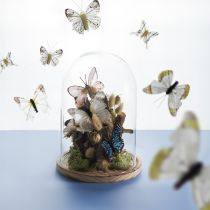Artikel Glasklokke på træbakke, glaskrukke, klar, natur, Ø17cm, H24cm