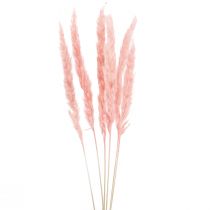 Artikel Pampas græs dekoration, pampas græs tørret pampas græs pink 72cm 6 stk.