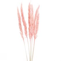 Artikel Pampas græs deco, pampas græs tørret pampas græs pink 72cm 6 stk.