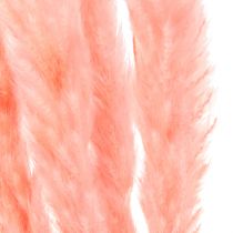 Artikel Pampas græs dekoration, pampas græs tørret pampas græs pink 72cm 6 stk.