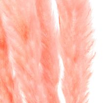 Artikel Pampas græs deco, pampas græs tørret pampas græs pink 72cm 6 stk.