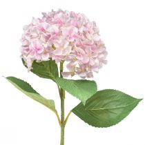 Artikel Hortensia kunstig lys pink kunstig blomsterhaveblomst 65cm