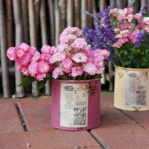 Artikel Dekorativ dåse, shabby chic stil, metal, Ø11 cm H10,5 cm, forskellige farver