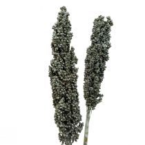 Artikel Tørrede blomster sorghum hirse blågrøn tørblomstret 72cm 3 stk