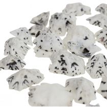 Skal Deco Skaller Hvid Sort Lille 1-2,5cm 250g
