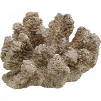 Maritim dekoration, havdyr, dekoration koral polyresin 13,5x11,5cm
