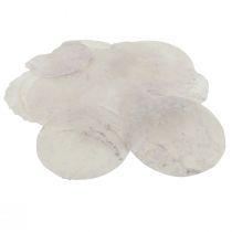 Capiz-skaller perlemorskiver maritim dekoration Ø7cm 600g