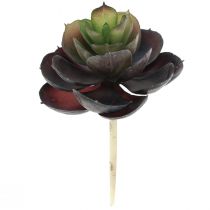Artikel Sukkulent Echeveria Kunstige Grønne Planter Ø7cm 12cm 6 stk