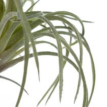 Artikel Tillandsia Sukkulente Kunstige Grønne Planter 13cm
