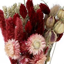 Artikel Tørrede blomsterbuket stråblomster Phalaris rød 30cm