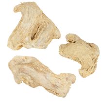 Artikel Tørret ingefærdekoration Naturlig dekoration 500g