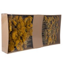 Artikel Achillea Natur Gelb Røllike Tørrede Blomster Gule 1kg
