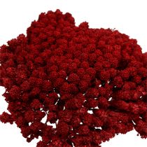 Artikel Achillea 1 kg vinrød