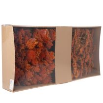Artikel Tørrede røllikea-appelsinblomster, 45-60 cm, 1 kg