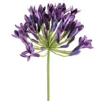 Artikel Agapanthus kunstige blomster lilla dekorationsliljer 75 cm 2 stk.