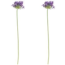 Artikel Agapanthus kunstige blomster lilla dekorationsliljer 75 cm 2 stk.