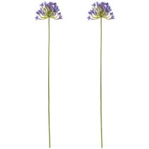 Artikel Agapanthus Afrikansk Lilje Kunstige Blomster Lilla L75cm 2stk