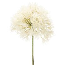 Artikel Kunstig blomst Allium, delikat design til indendørs brug, 68 cm