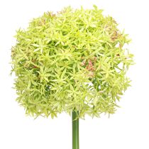 Artikel Allium grøn blomst kunstigt prydløg Ø18cm 90cm